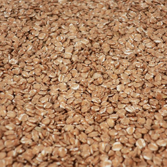 เฟลควีท ทำเบียร์ โฮมบริว homebrew flaked wheat
