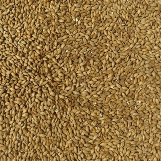 Malt Fawcett Golden Promise Pale Craft Components