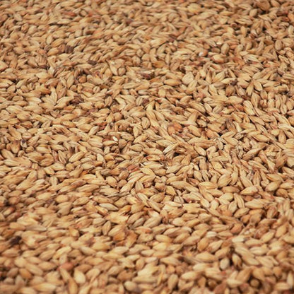 เมลาโนไลท์ มอลต์ ทำเบียร์ โฮมบริว homebrew melano light malt