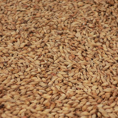 เมลาโน มอลต์ ทำเบียร์ โฮมบริว homebrew melano malt