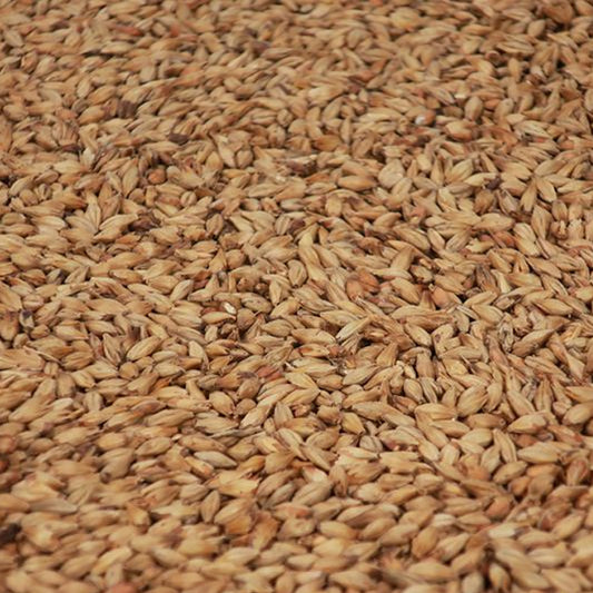เมลาโน มอลต์ ทำเบียร์ โฮมบริว homebrew melano malt
