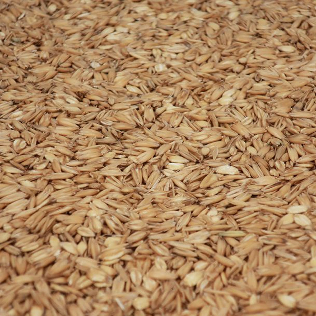 โอ๊ต มอลต์ ทำเบียร์ โฮมบริว homebrew oat malt