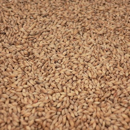 พีท มอลต์ ทำเบียร์ โฮมบริว homebrew peated malt