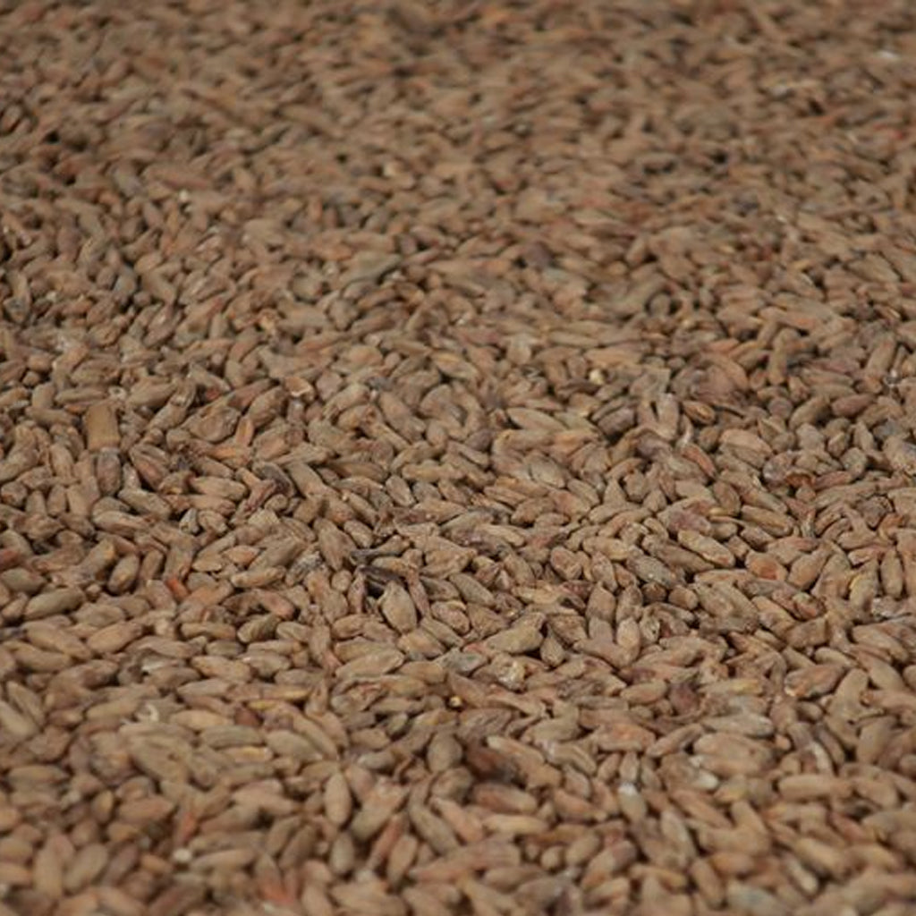 ไรย์ มอลต์ ทำเบียร์ โฮมบริว homebrew rye malt