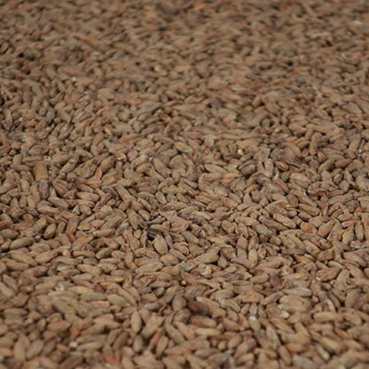 ไรย์ มอลต์ ทำเบียร์ โฮมบริว homebrew rye malt