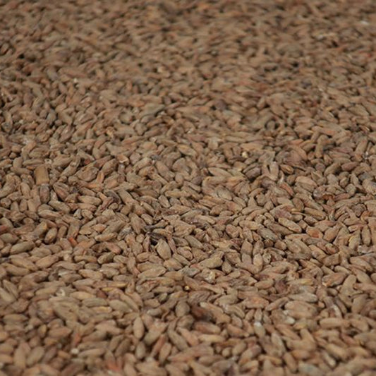 ไรย์ มอลต์ ทำเบียร์ โฮมบริว homebrew rye malt