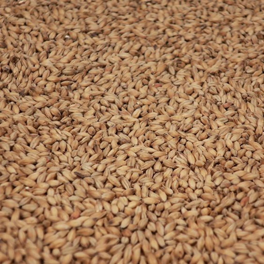 สโมค มอลต์ ทำเบียร์ โฮมบริว homebrew smoked malt