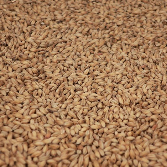 สโมค มอลต์ ทำเบียร์ โฮมบริว homebrew smoked malt