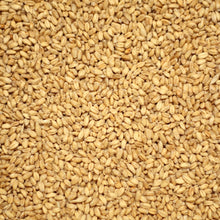 Load image into Gallery viewer, วีทมอลต์ ทำเบียร์ โฮมบริว homebrew wheat malt
