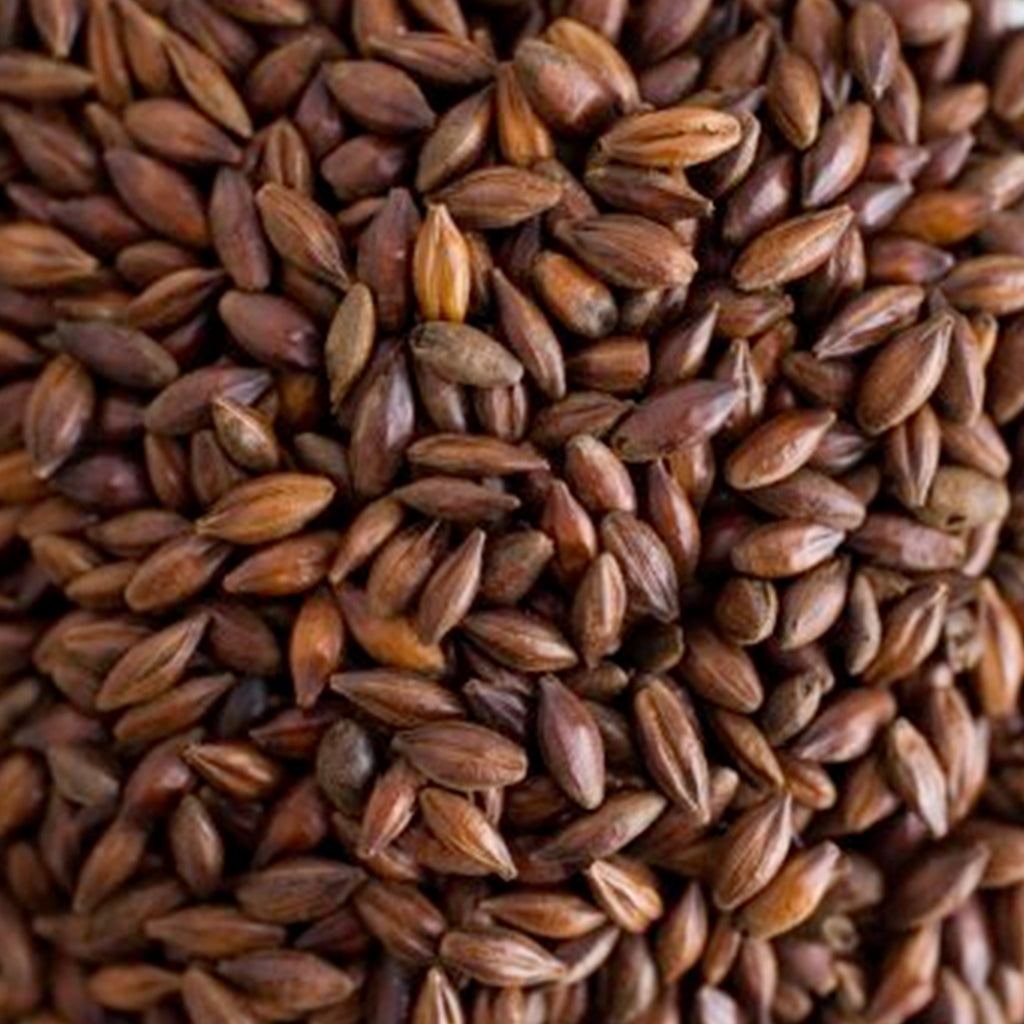 เพล ช็อคโกแล็ต มอลต์ ทำเบียร์ โฮมบริว homebrew pale chocolate malt Thosmas Fawcett